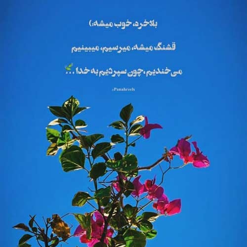 آهنگ نمیچینم گلی که خار داره دلبر با صدای حسین عامری