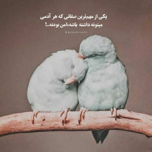 دکلمه اگر ز گور به جایی دری نباشد چه صدای زن